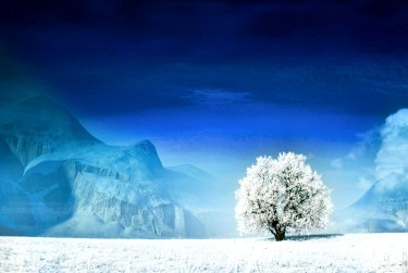 绍兴柯桥区银行个人借款利率揭秘：揭秘低息秘密，轻松贷款无忧
